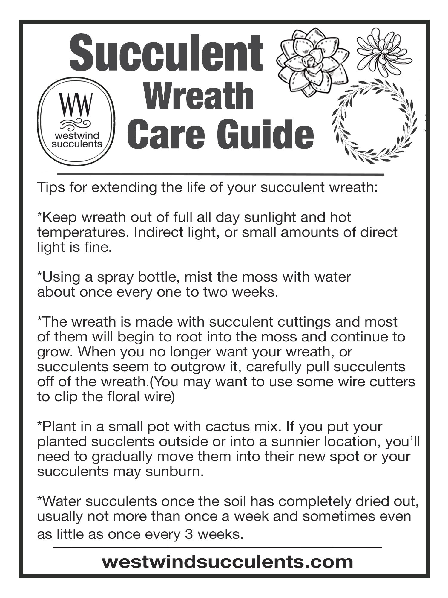 Plant Care | WestWind Succulents (925)989-1909